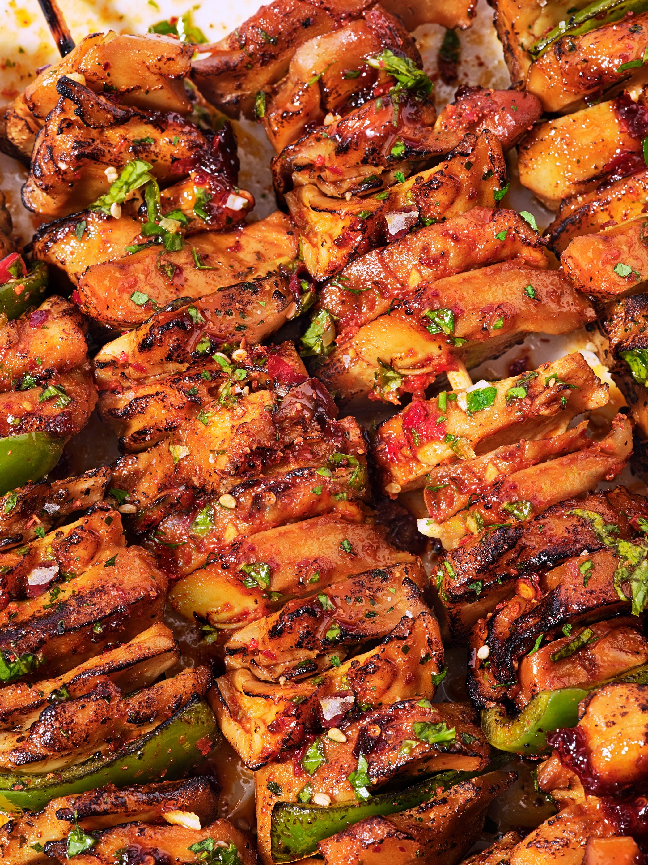 Skewers LP – Planted Foods DE/AT